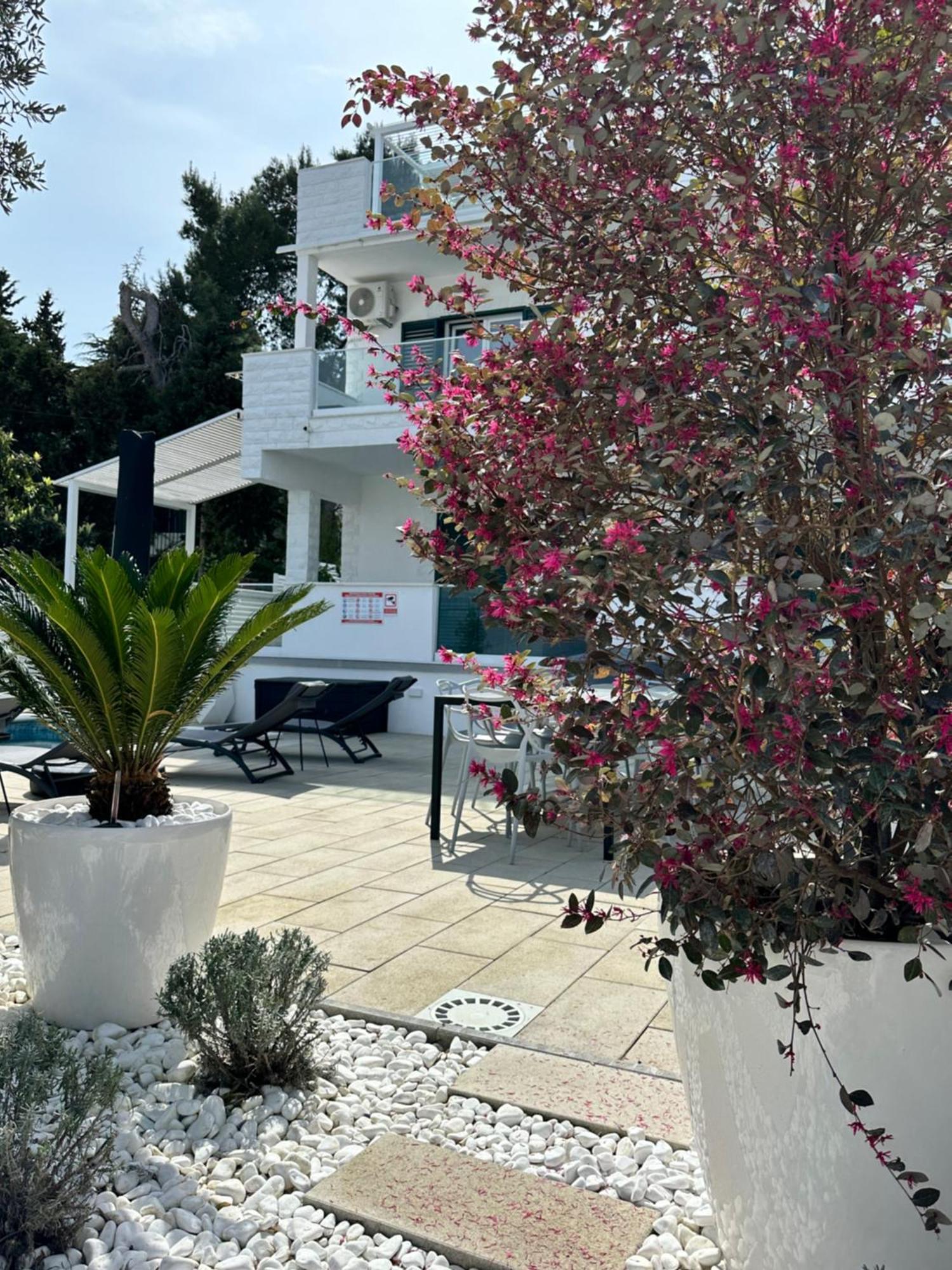 Apartments Marina 特罗吉尔 外观 照片