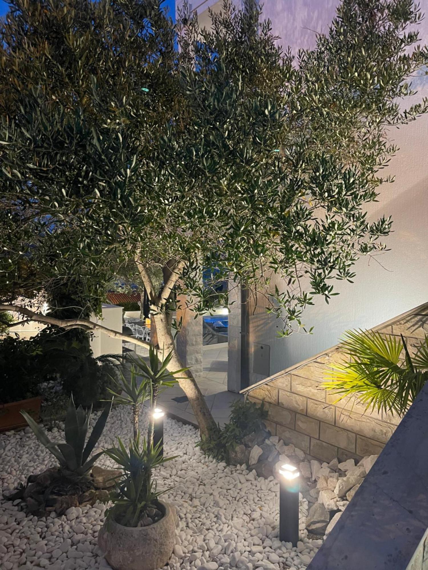 Apartments Marina 特罗吉尔 外观 照片